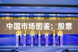 中国市场图鉴：股票