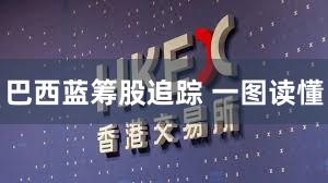 巴西蓝筹股追踪 一图读懂